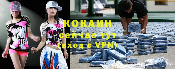МДПВ Алзамай