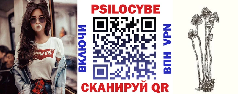 сколько стоит Волхов Галлюциногенные грибы мицелий